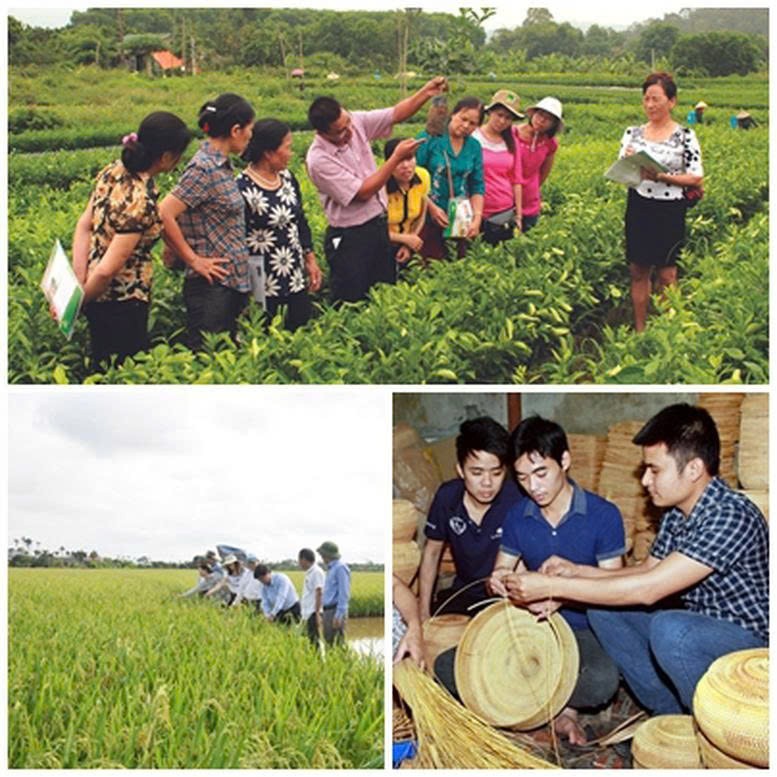 Nông nghiệp trải nghiệm - hướng đi mới thúc đẩy kinh tế nông thôn