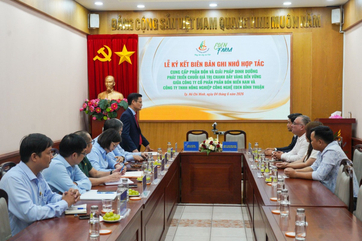 Phân bón Miền Nam và cái 