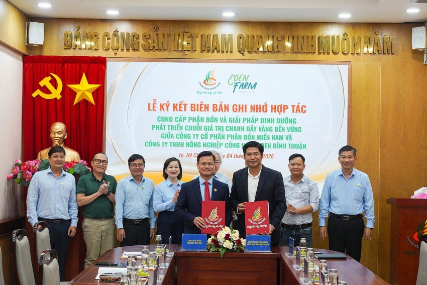 Phân bón Miền Nam và cái 