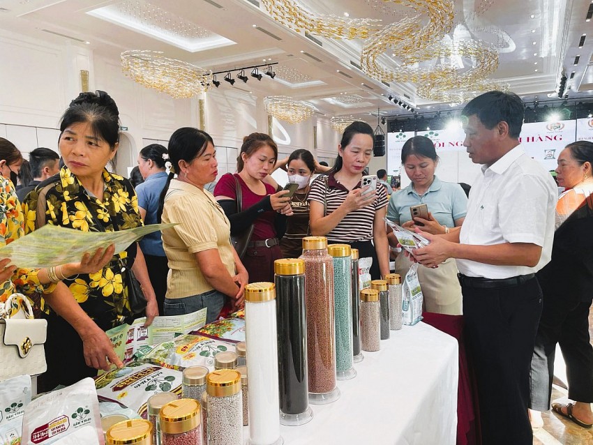 Hội nghị khách hàng Supe Lâm Thao: Thắt chặt liên kết, lan tỏa giá trị dòng sản phẩm mới