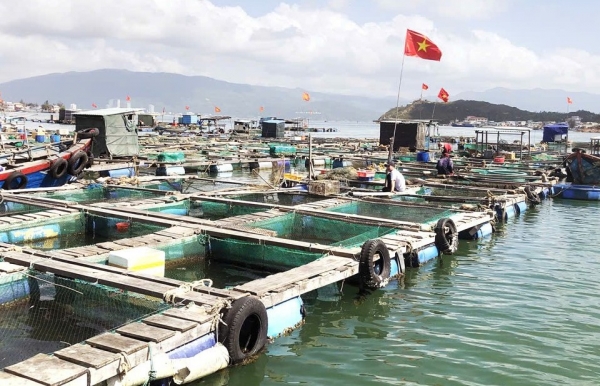 Đắk Lắk đẩy mạnh sử dụng dữ liệu số trong lĩnh vực thủy sản thay thế giấy tờ hành chính