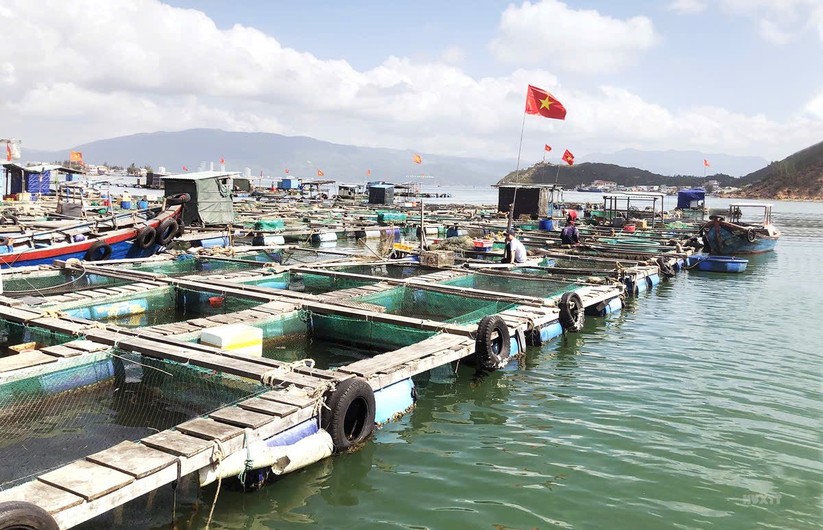 Đắk Lắk đẩy mạnh sử dụng dữ liệu số trong lĩnh vực thủy sản thay thế giấy tờ hành chính