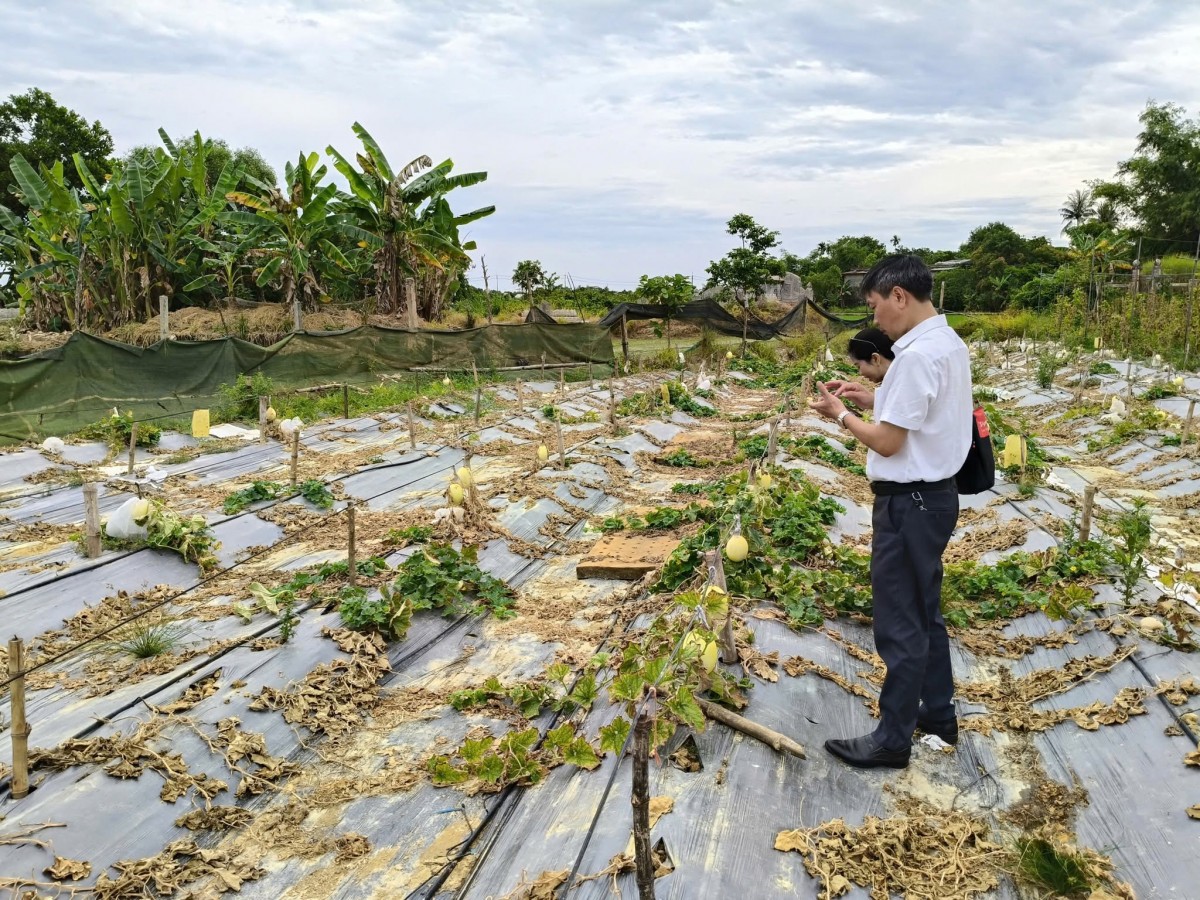 phường Hương An