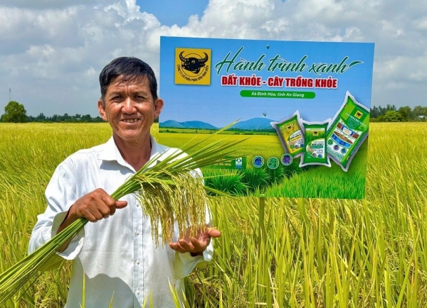 Phân bón Bình Điền: Đất khỏe hôm nay, mùa vàng ngày mai