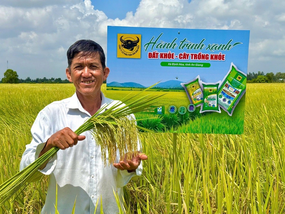 Phân bón Bình Điền: Đất khỏe hôm nay, mùa vàng ngày mai