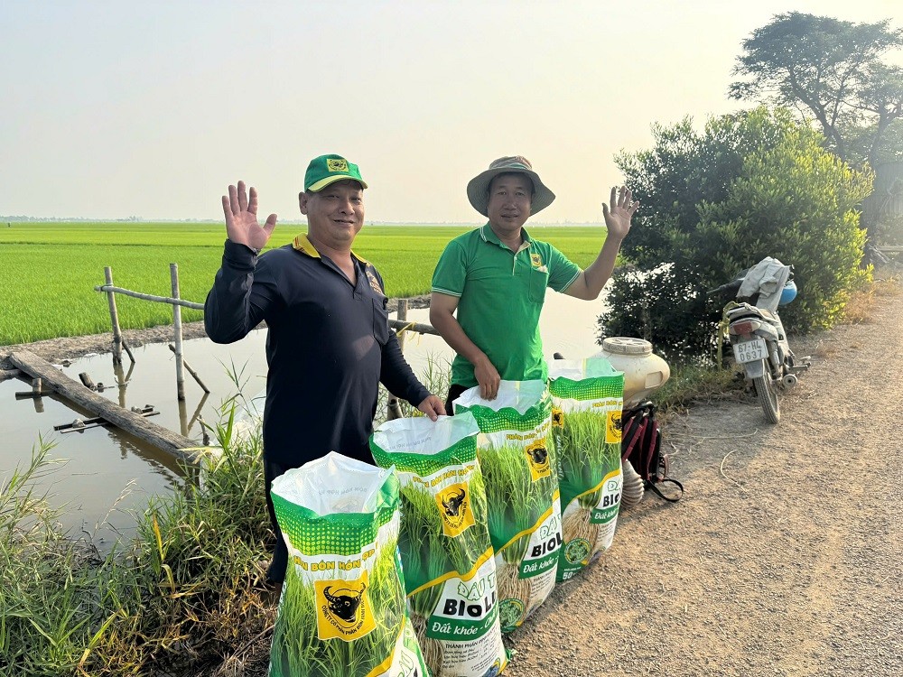 Phân bón Bình Điền: Đất khỏe hôm nay, mùa vàng ngày mai