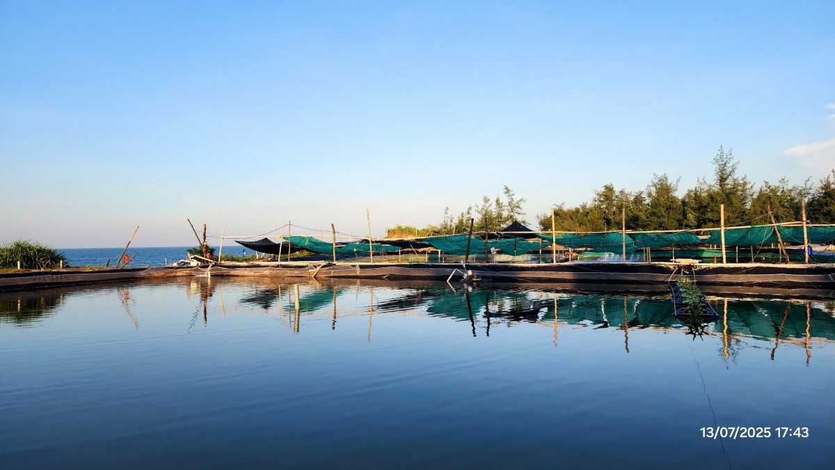 quản lý môi trường