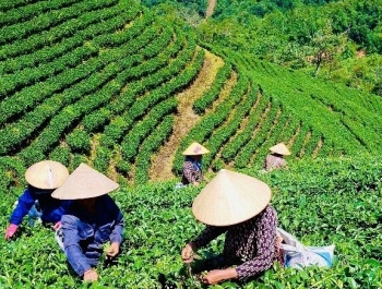 Phát triển sản xuất gắn với xây dựng thương hiệu, gia tăng giá trị sản phẩm