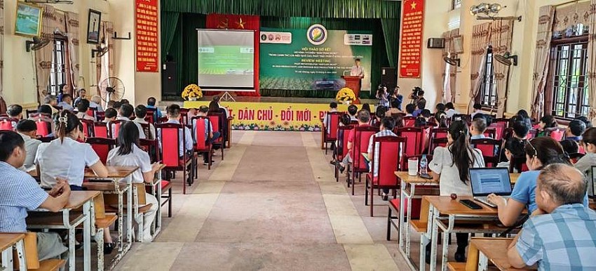 Hải Phòng: Hiệu quả từ mô hình canh tác lúa sử dụng phân bón đúng, phát thải thấp