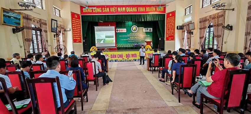 Hải Phòng: Hiệu quả từ mô hình canh tác lúa sử dụng phân bón đúng, phát thải thấp