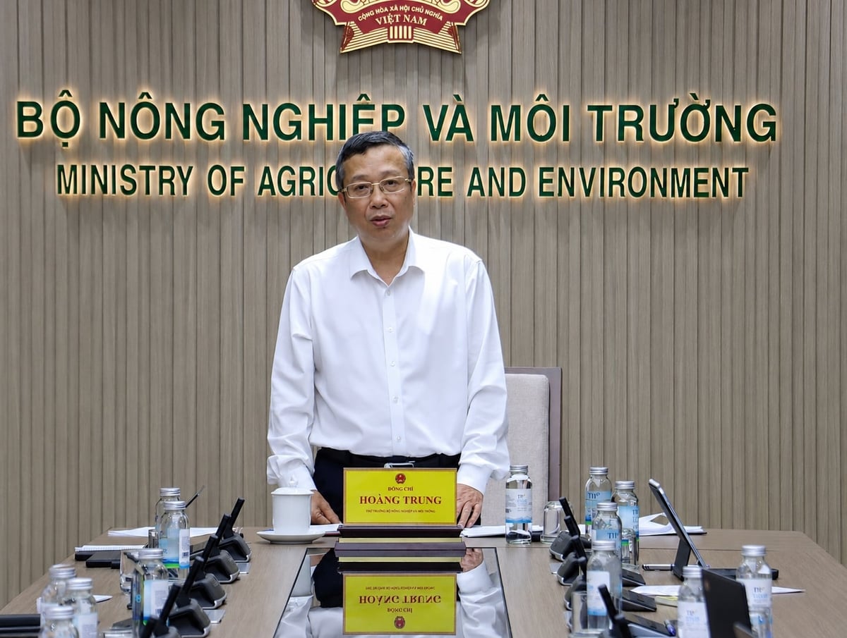 Thứ trưởng Hoàng Trung yêu cầu khẩn trương khắc phục lỗ hổng an toàn thông tin và hoàn tất đồng bộ dữ liệu chuyên ngành để đảm bảo hệ thống TXNG 'lên sóng' đúng hẹn. Ảnh: Nguyễn Thủy. Thứ trưởng Hoàng Trung yêu cầu khẩn trương khắc phục lỗ hổng an toàn thông tin và hoàn tất đồng bộ dữ liệu chuyên ngành để đảm bảo hệ thống TXNG 'lên sóng' đúng hẹn. Ảnh: Nguyễn Thủy.