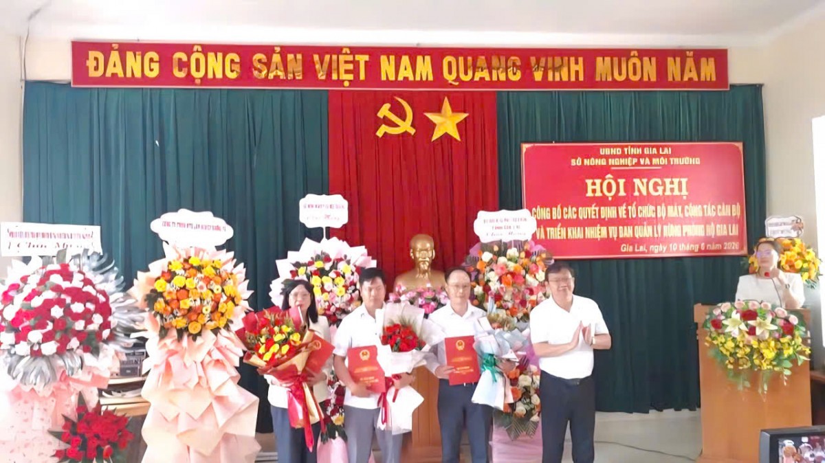 Công bố quyết định về tổ chức bộ máy và cán bộ Ban Quản lý rừng phòng hộ Gia Lai