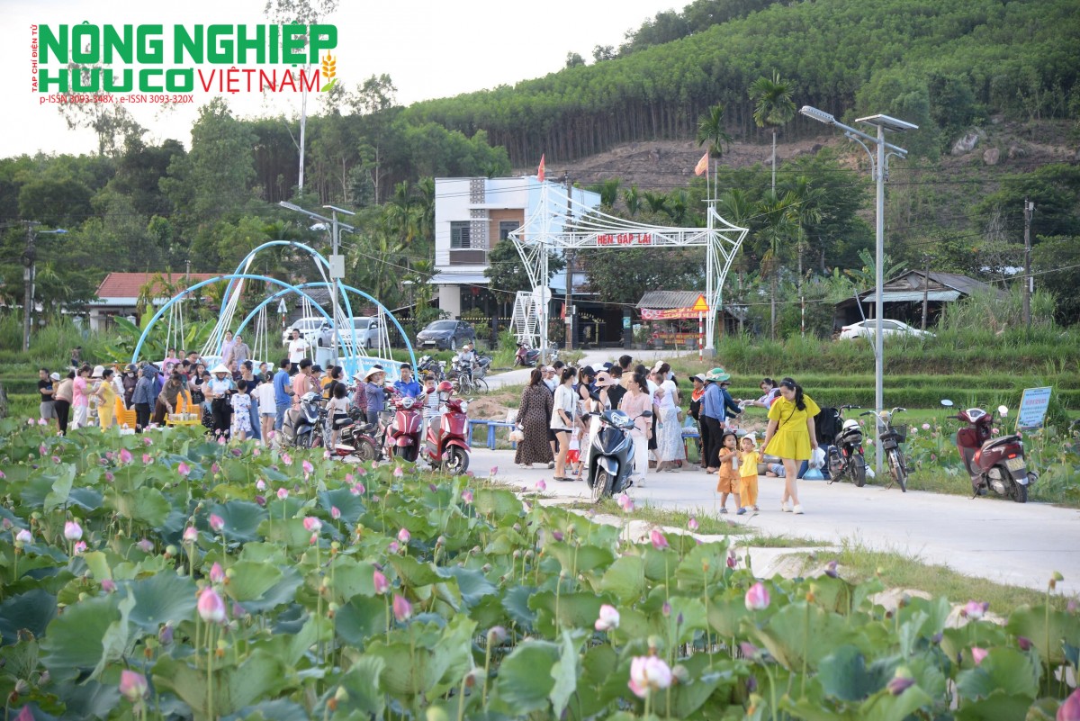 Phiên chợ quê Đại An góp phần quảng bá hình ảnh du lịch cộng đồng gắn với cảnh quan hồ Sen tại xã Phú Ninh.