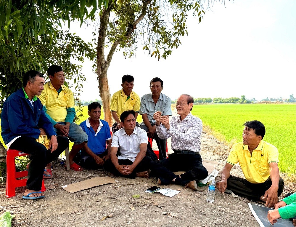 Từ vùng đất phèn đến mùa vàng 7 tấn lúa/ha