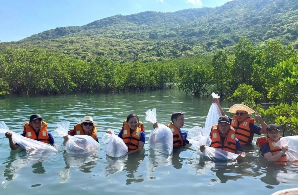 Hơn 200 tình nguyện viên cùng nhau thả 11.500 sinh vật biển cho vịnh biển Nha Trang
