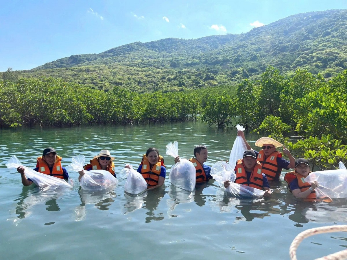 Hơn 200 tình nguyện viên cùng nhau thả 11.500 sinh vật biển cho vịnh biển Nha Trang