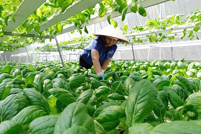 Khát vọng thuận thiên và sứ mệnh làm 