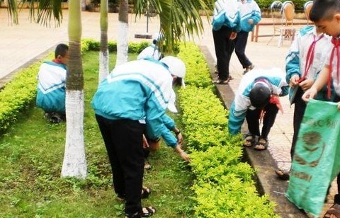 Môi trường xanh - Cốt lõi cho sự phát triển hài hoà