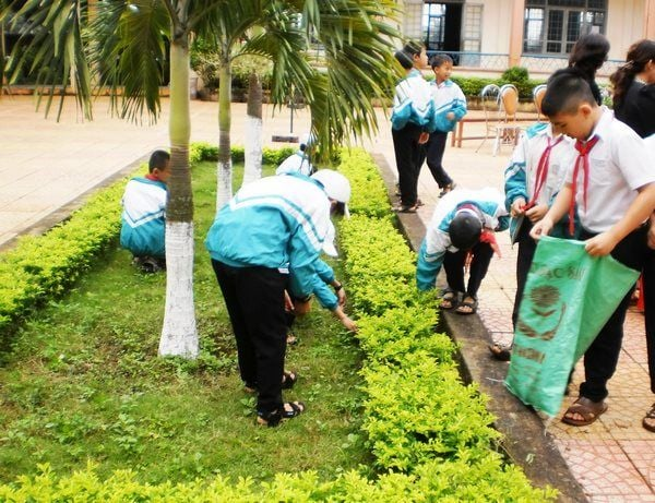 Môi trường xanh - Cốt lõi cho sự phát triển hài hoà