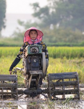 Khi báo chí trở thành cầu nối giữa nhà khoa học và người nông dân