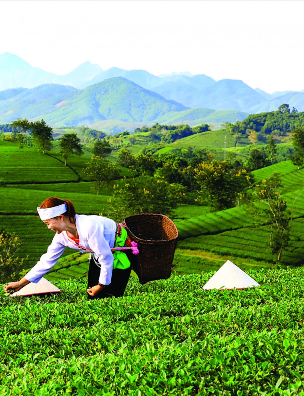Đất cội nguồn 