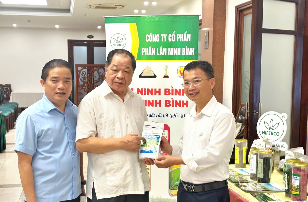 Ngành phân bón Việt Nam trước yêu cầu tự chủ, xanh hóa và nâng cao năng lực cạnh tranh