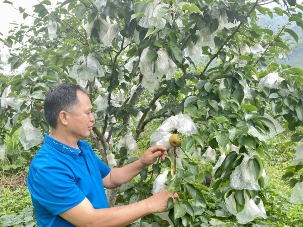 Người trưởng xóm khai thác lợi thế bản địa để làm giàu trên quê hương