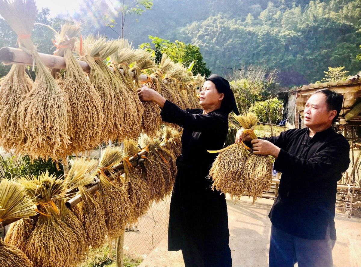 Người trưởng xóm khai thác lợi thế bản địa để làm giàu trên quê hương