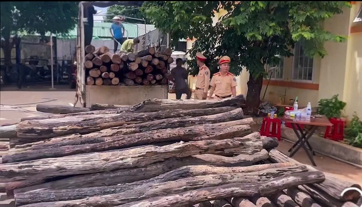 CSGT Krông Búk mật phục, phát hiện 02 xe vận chuyển lâm sản không rõ nguồn gốc
