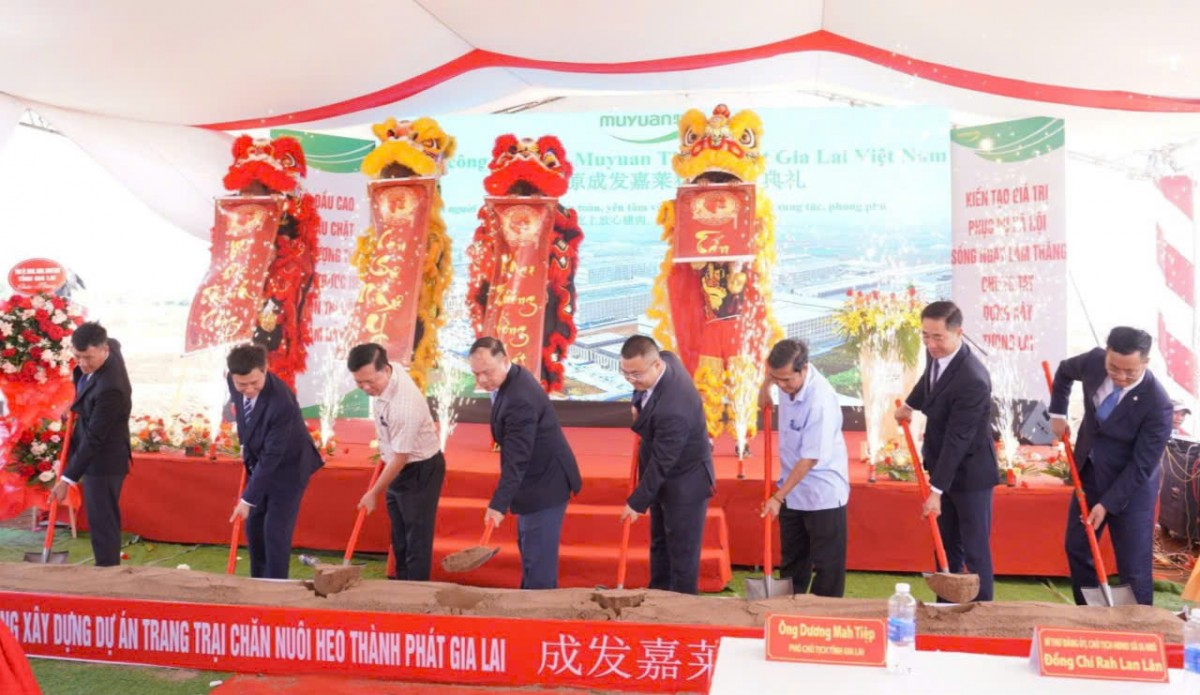 Khởi công dự án trang trại Thành Phát Gia Lai quy mô hơn 78 tỷ đồng