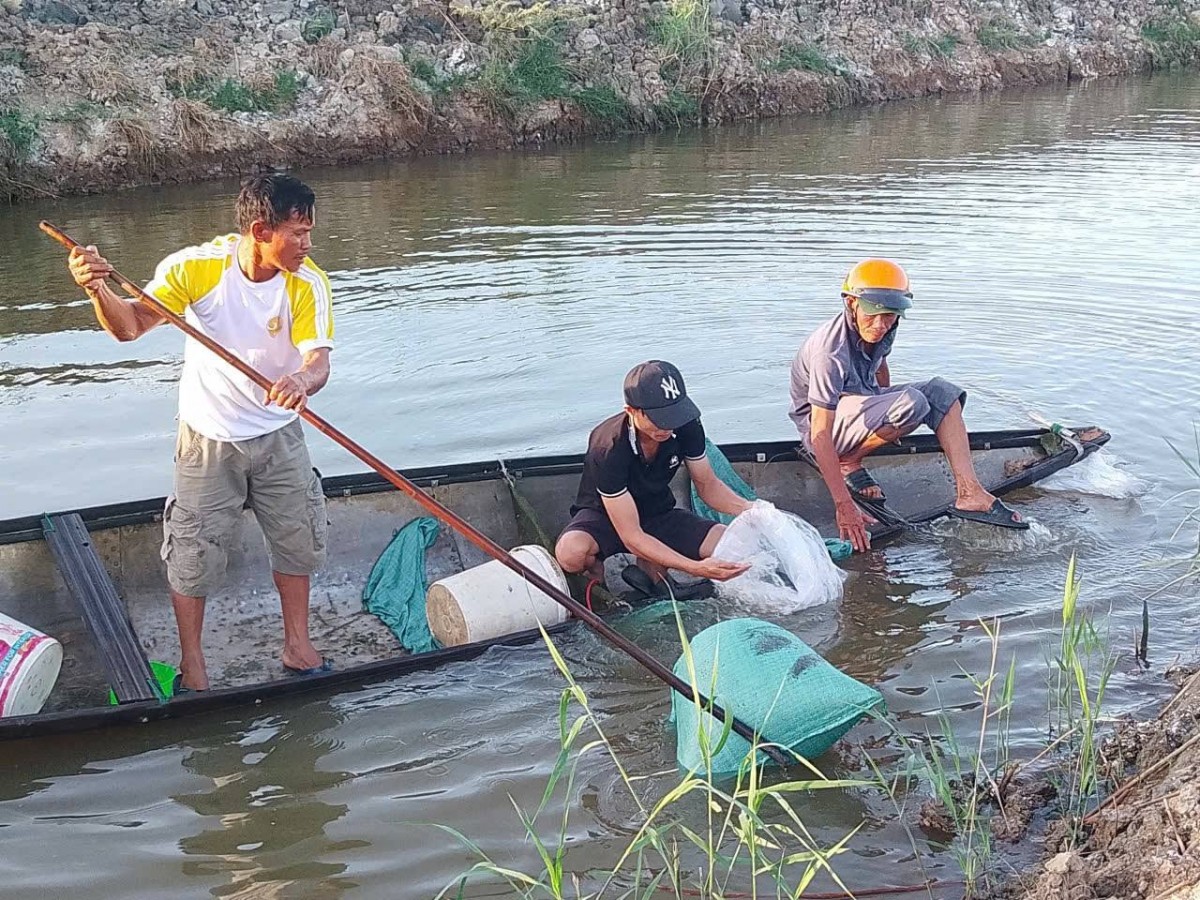 hướng đi phù hợp
