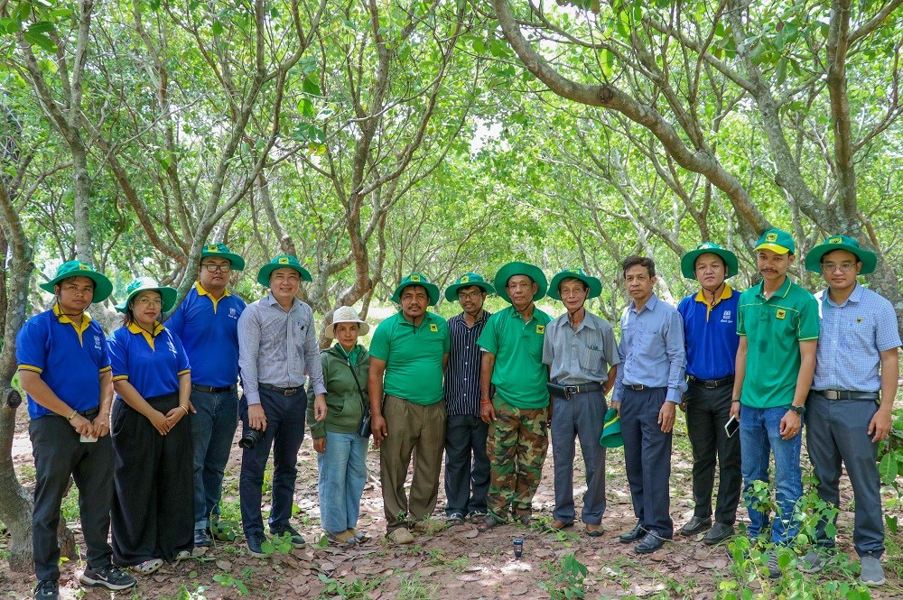 Mang giải pháp dinh dưỡng khoa học cho điều Campuchia: Hành trình kiến tạo những mùa vàng thịnh vượng