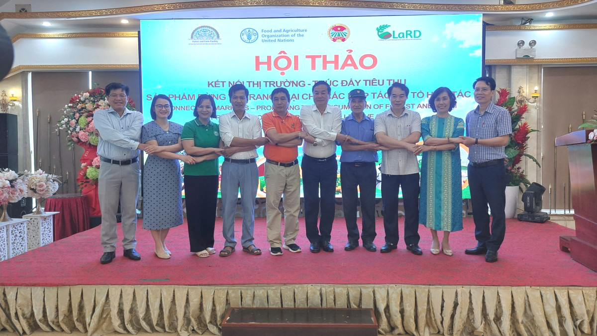 Kết nối thị trường, thúc đẩy tiêu thụ sản phẩm rừng và trang trại cho hợp tác xã, tổ hợp tác