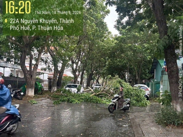 Tp. Huế: Hiện tượng thời tiết cực đoan tác động đến nhiều địa phương
