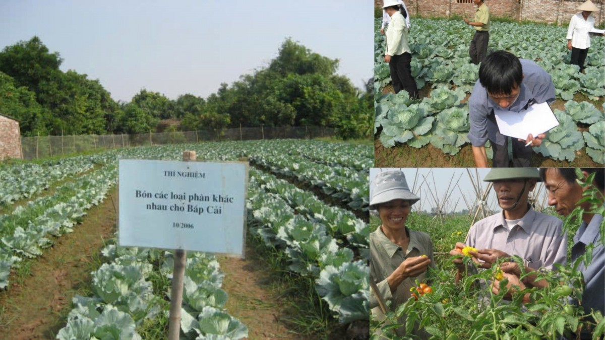 Nông nghiệp hữu cơ trước những yêu cầu mới của 