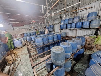 Hưng Yên: Khởi tố chủ cơ sở sản xuất giá đỗ sử dụng chất cấm kích thích tăng trưởng