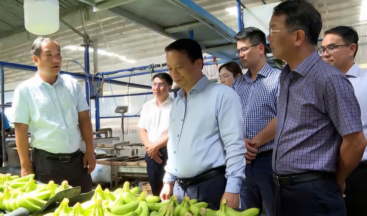 Phó Chủ tịch Thường trực UBND tỉnh Gia Lai làm việc với Công ty Nông nghiệp HAGL - Stung Treng
