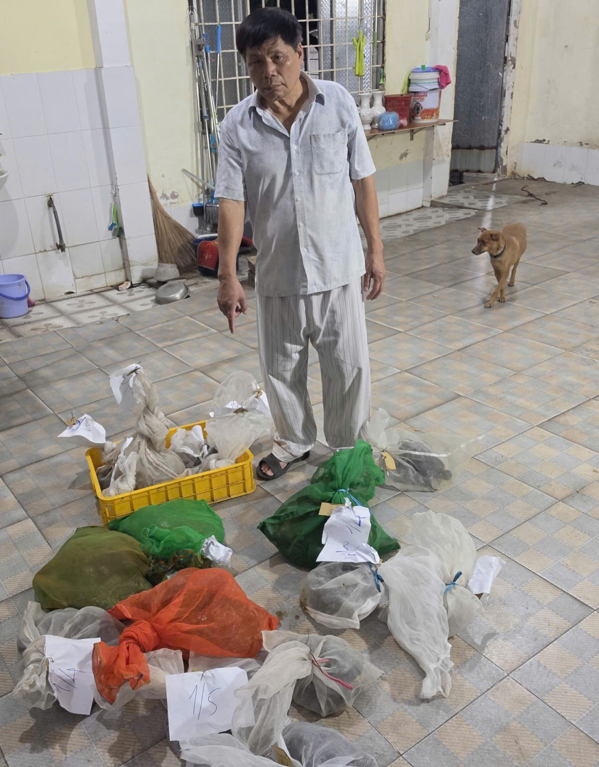 An Giang: Triệt phá đường dây mua bán tê tê Java liên tỉnh, tạm giữ 5 đối tượng
