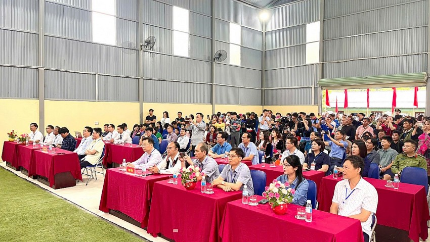Lai Châu: Rộn ràng ngày hội hái Lê phường Tân Phong năm 2026