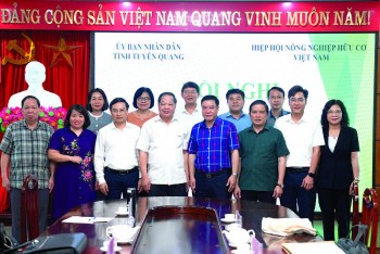 Tuyên Quang quyết tâm tìm hướng đi bền vững cho nông nghiệp hữu cơ