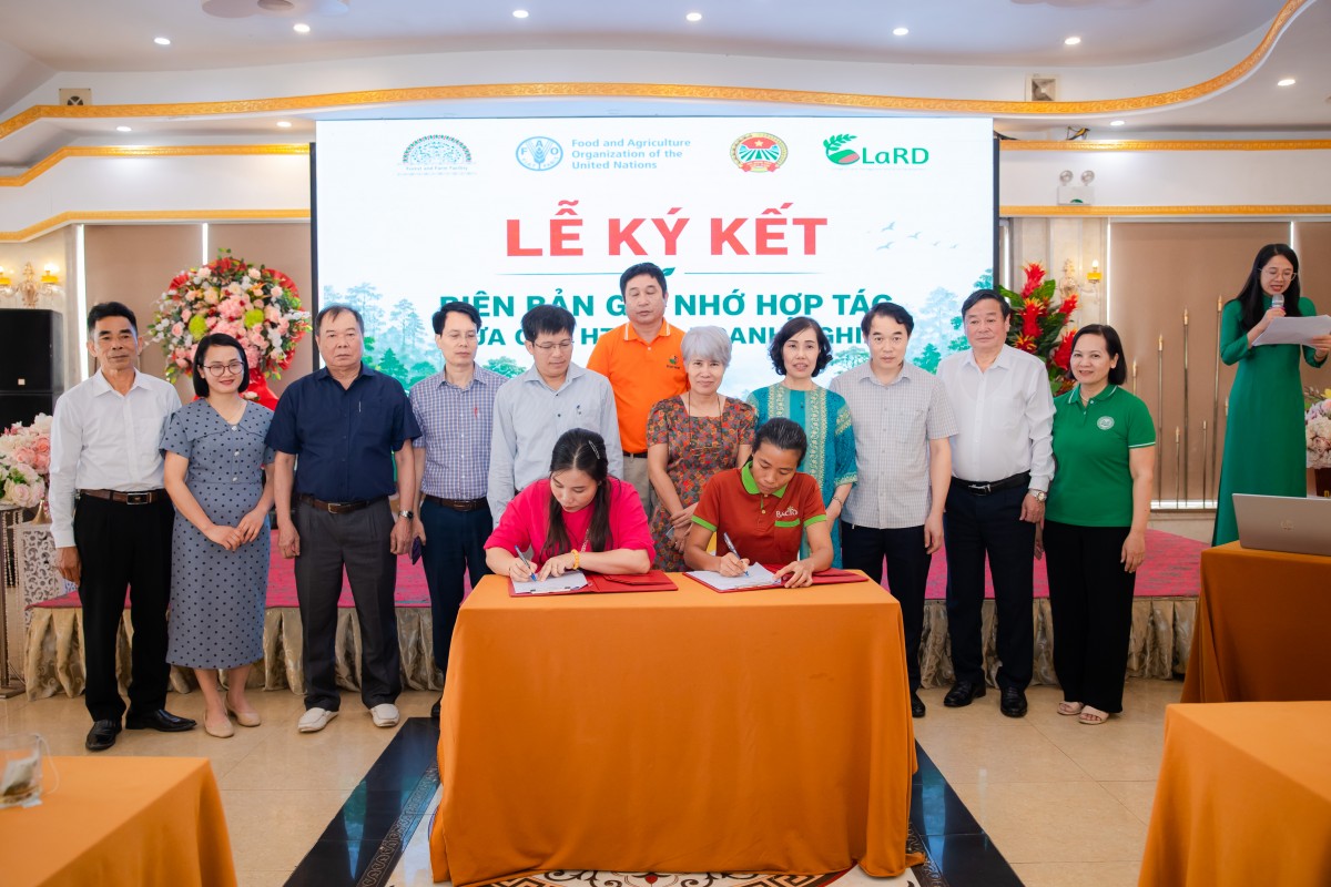 Kết nối thị trường, thúc đẩy tiêu thụ sản phẩm rừng và trang trại cho hợp tác xã, tổ hợp tác