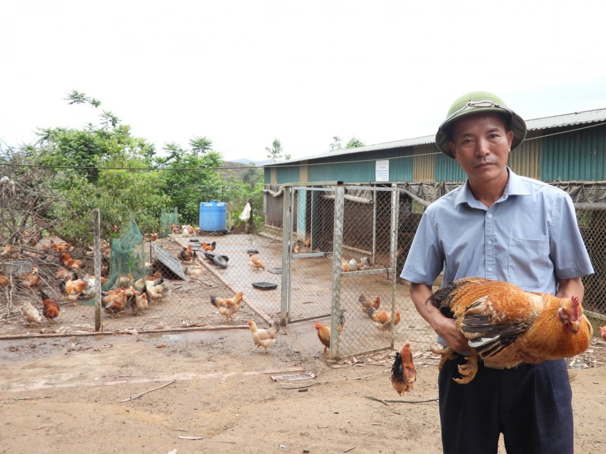Mô hình nuôi gà hữu cơ của gia đình ông Hoàng Văn Cường, xã Đông Ngũ. Ảnh: Duy Tùng