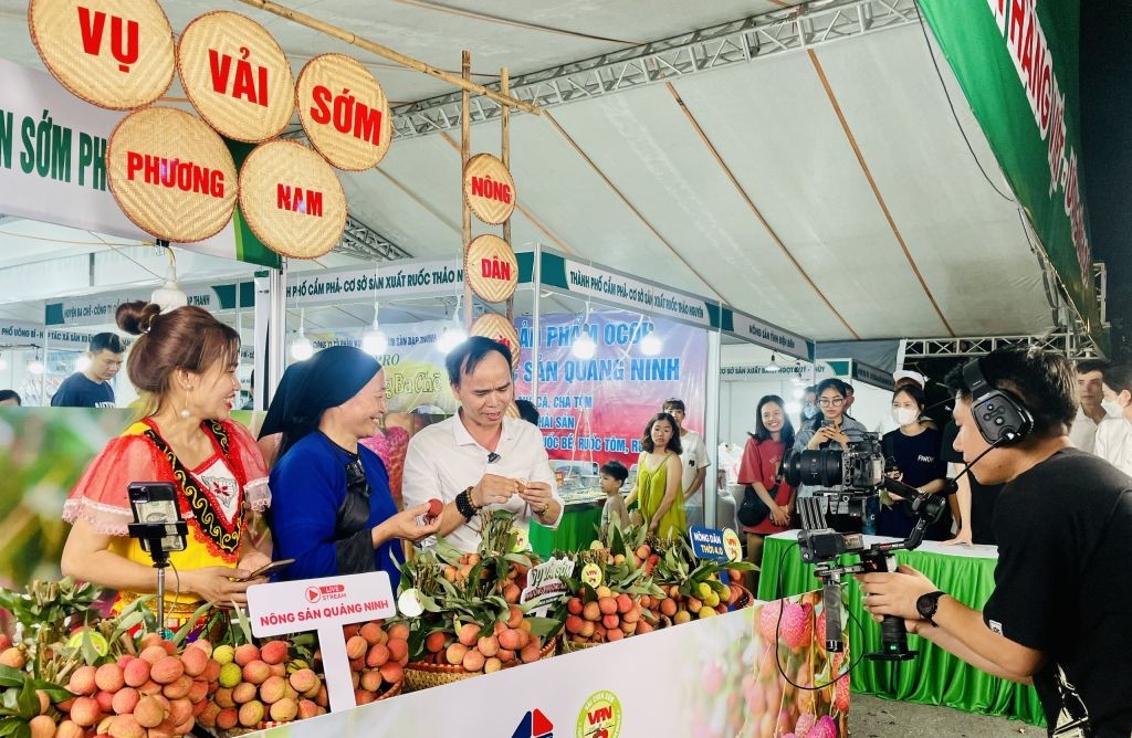 Nông dân phường Phương Nam (TP Uông Bí) tập livestream bán vải. Ảnh: Hồng Hoàn 