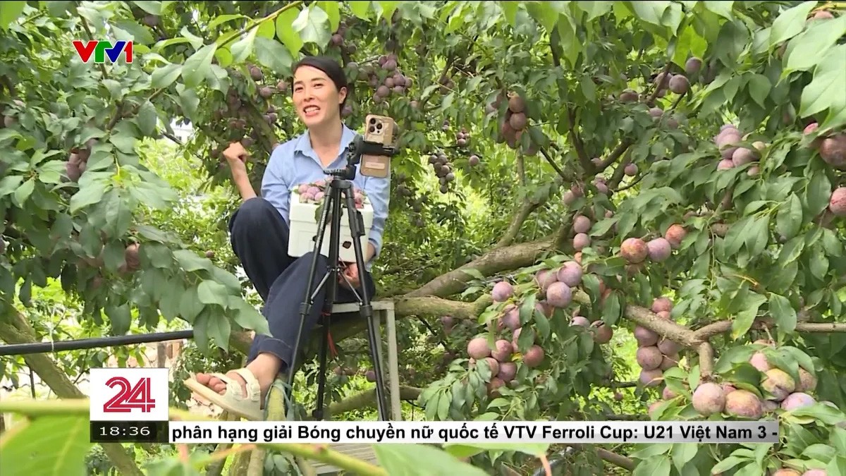 Đổi mới cách làm báo để đồng hành cùng nông dân thời đại 4.0