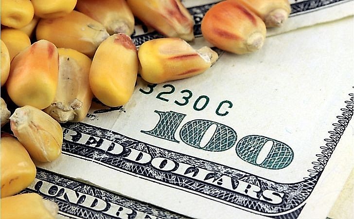 Biến động chính trị tại Iowa gây lo ngại cho nông dân Hoa Kỳ