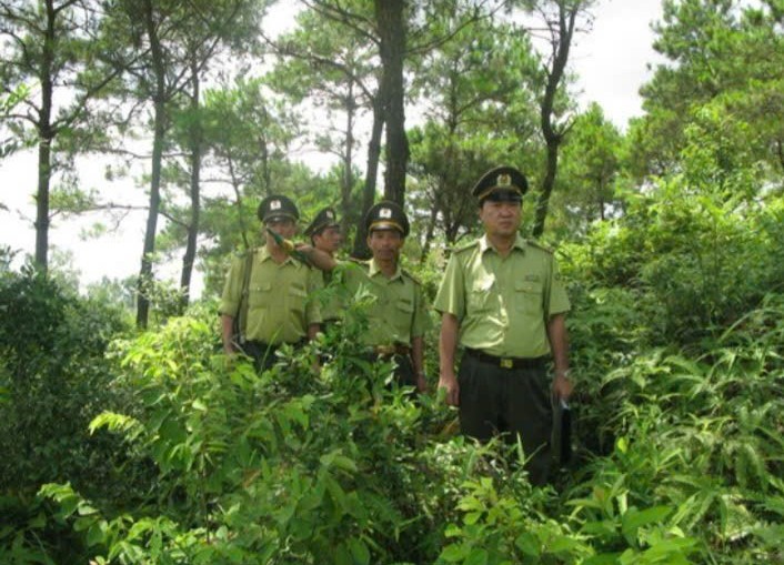 Tăng cường vai trò liên ngành trong bảo vệ rừng và đất lâm nghiệp
