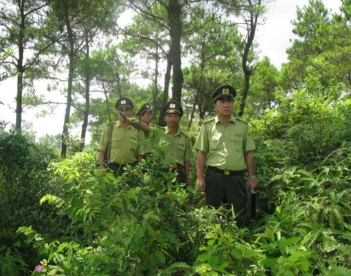 Tăng cường vai trò liên ngành trong bảo vệ rừng và đất lâm nghiệp