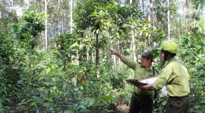 Lâm Đồng: Công tác chi trả tiền giao khoán bảo vệ rừng đầy đủ và đúng quy định