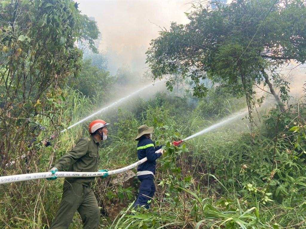 Cháy rừng lan rộng, Chủ tịch Nghệ An trực tiếp chỉ đạo tại hiện trường