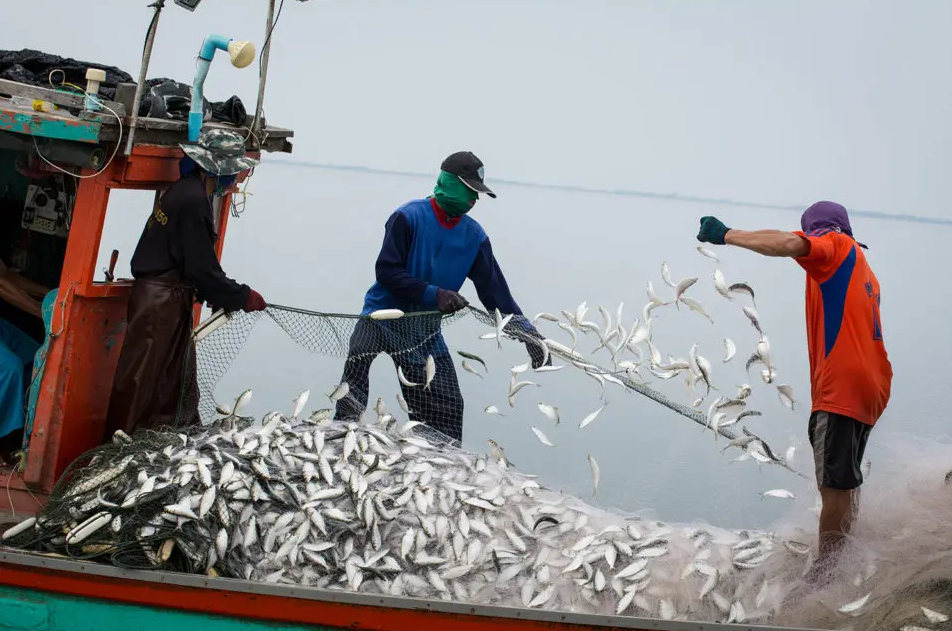 Ngư dân châu Á vẫn là điểm mù trong chuỗi cung ứng thủy sản toàn cầu